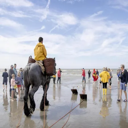 On Zeedijk With Stunning Sea View * Coxyde