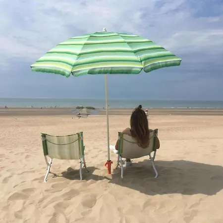 On Zeedijk With Stunning Sea View