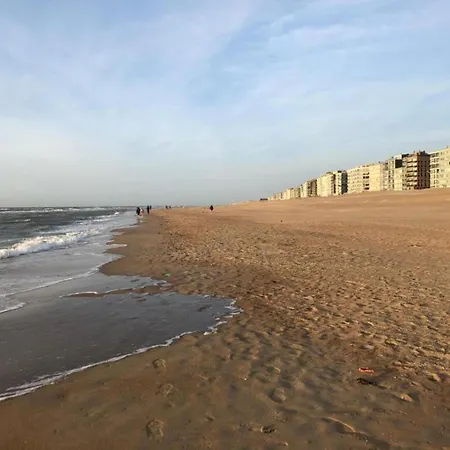 On Zeedijk With Stunning Sea View Appartement Coxyde