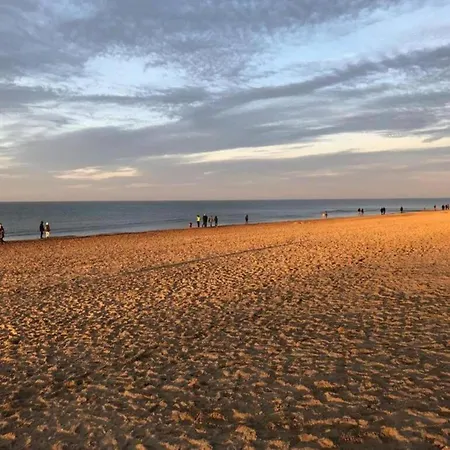 Appartement On Zeedijk With Stunning Sea View