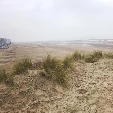On Zeedijk With Stunning Sea View